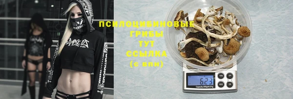 прущая мука Балахна