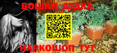 ешки Волгодонск