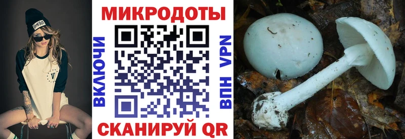 купить закладку  Горячий Ключ  Псилоцибиновые грибы Magic Shrooms 