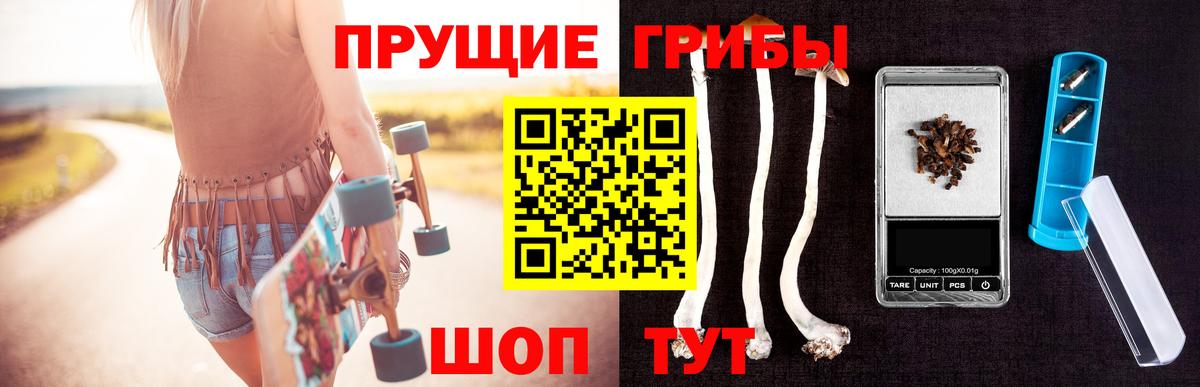 Псилоцибиновые грибы Cubensis  Галлюциногенные грибы Psilocybe  Горячий Ключ  Вход с VPN 